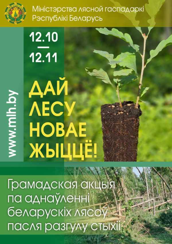 “ДАЙ ЛЕСУ НОВАЕ ЖЫЦЦЁ!” МИНЛЕСХОЗ ПРОВЕДЕТ АКЦИЮ ПО ВОССТАНОВЛЕНИЮ ВЕТРОВАЛЬНО-БУРЕЛОМНЫХ УЧАСТКОВ