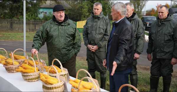 ПРЕЗИДЕНТ БЕЛАРУСИ ОБЪЯВИЛ О НАЧАЛЕ РЕСПУБЛИКАНСКОЙ АКЦИИ «ДАЙ ЛЕСУ НОВАЕ ЖЫЦЦЁ!»