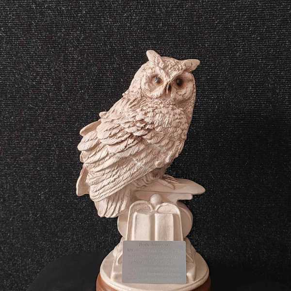 ПОБЕДА ЗА САМЫМИ ЭРУДИРОВАННЫМИ!