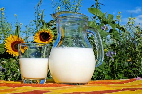 Скорректированы Правила бесплатного обеспечения работников молоком или равноценными пищевыми продуктами при работе с вредными веществами